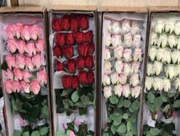 تبریک روز مادر به زبان‌های مختلف دنیا