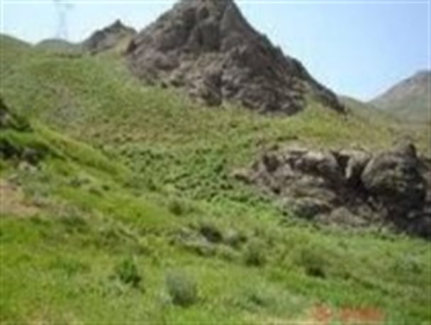 71 هکتار از اراضی ملی نطنز از زمین خواران پس گرفته شد