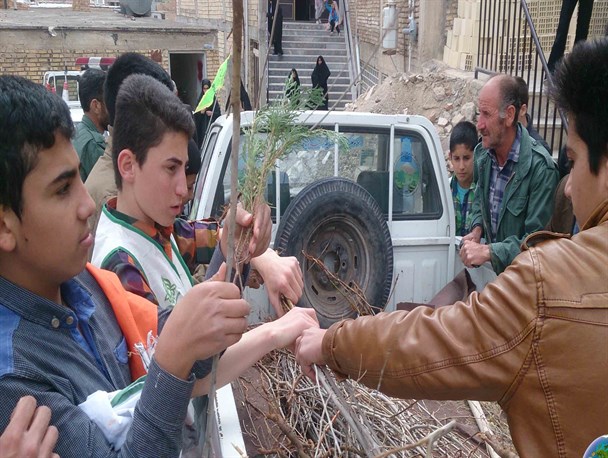 توزیع 3 هزار اصله نهال در شهرستان بن