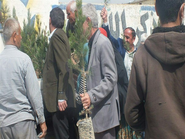 توزیع درخت به مناسبت هفته درختکاری بین مردم دهدشت+تصاویر