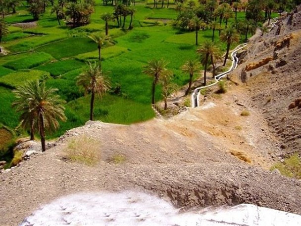 تداوم زندگی بشر و نسل آینده منوط به حفظ منابع طبیعی است