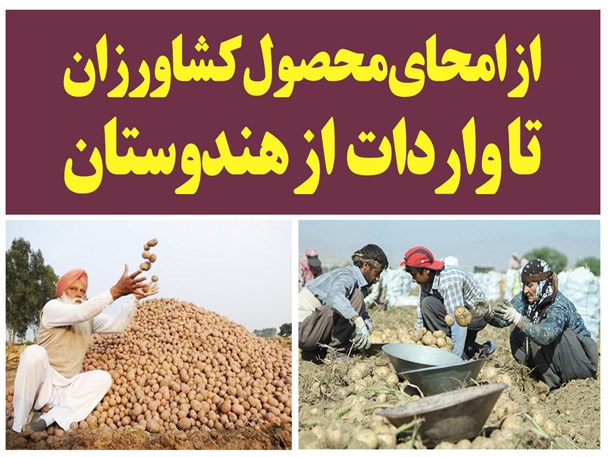 فتونیوز/از امحای محصول کشاورزان تا واردات  از هندوستان