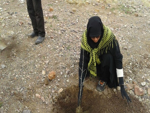 کاشت ۲۰۰ اصل نهال در اشتهارد به مناسبت هفته ی منابع طبیعی + تصاویر