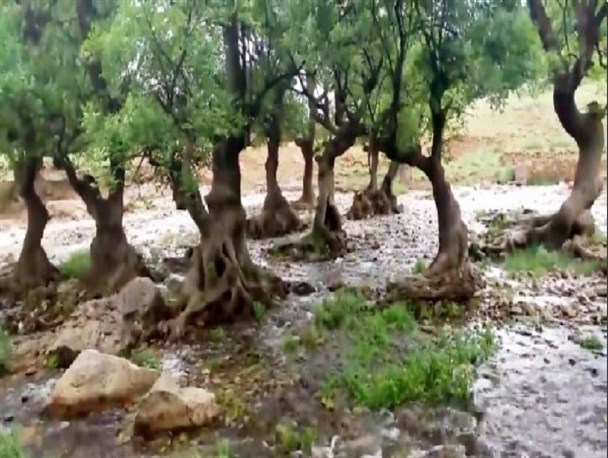 سراب رفتخان گوشه ای از جاذبه های گردشگری چگنی