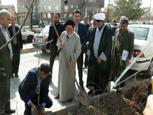 امام جمعه سمنان نهال زیتون غرس کرد