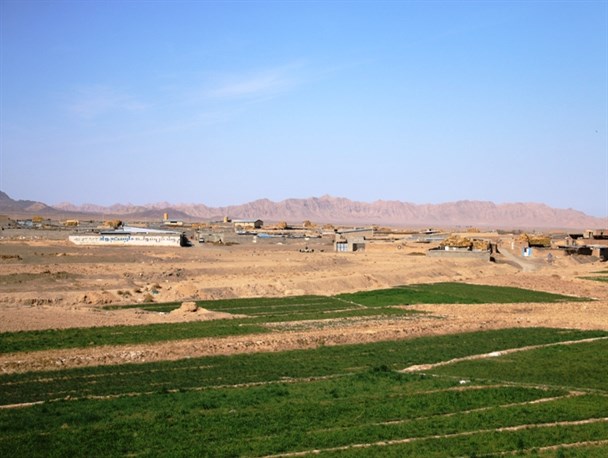 قبوض میلیونی صدای دامداران بجستان را درآورد/ وقتی قیمت آب مصرفی از شیر پیشی می‌گیرد!