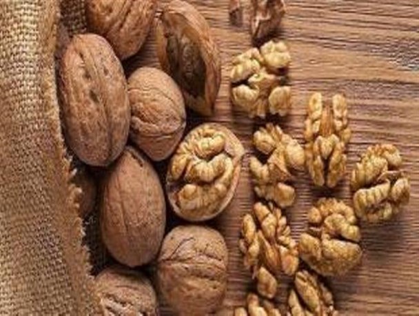 گردوی خارجی به جنگ گردوی ایرانی آمده است