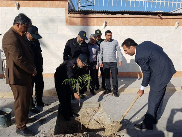 کاشت درخت به مناسبت هفته ی درختکاری در برازجان+تصاویر