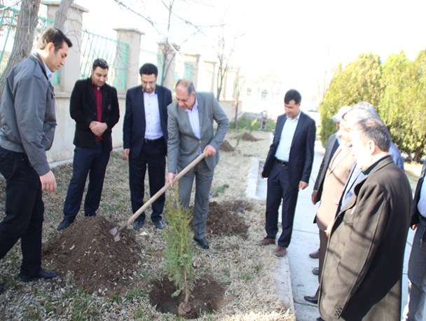 پارک شادی پلدشت درختکاری شد+ تصاویر