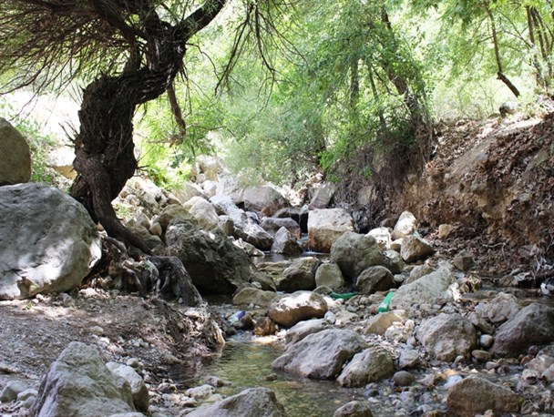 تنگ گنجه ای؛ گنجینه بی نظیر در پایتخت طبیعت ایران / تفرجگاهی بی نظیر برای ایام نوروز