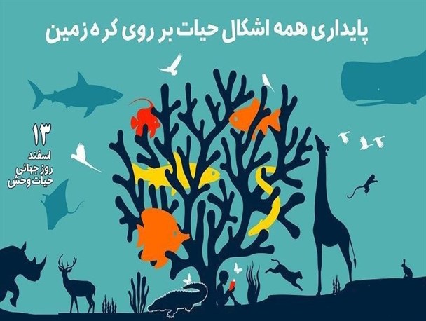 برگزاری روز جهانی حیات وحش در زاهدان/نقش هر یک از ما در پایداری حیات بر روی کره زمین مشخص است