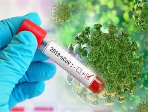 تعداد مبتلایان به کرونا در استان به 15 نفر رسید/ مثبت شدن تست کرونای معاون توسعه علوم پزشکی کرمان