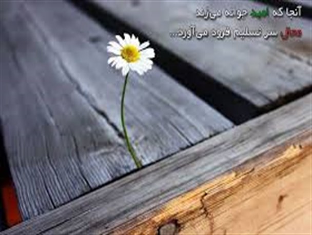 نقش امید درزندگی انسانها / اهمیت توجه به امیدواری دیگران