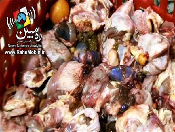 تهیه جوجه کباب‌های زعفرانی با مرغ فاسد+عکس