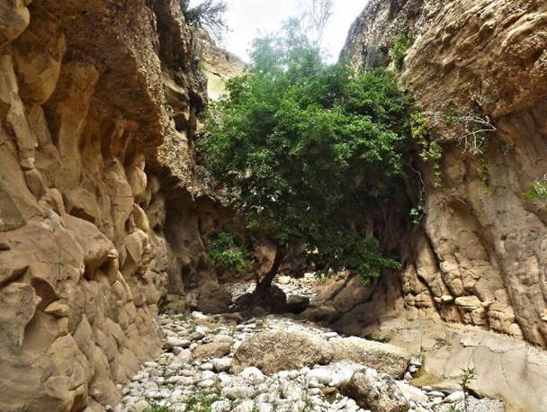 تصاویری زیبا از مناطق گردشگری روستای سیاه شیر بهمئی