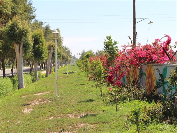 نمایی از شهر صفی اباد