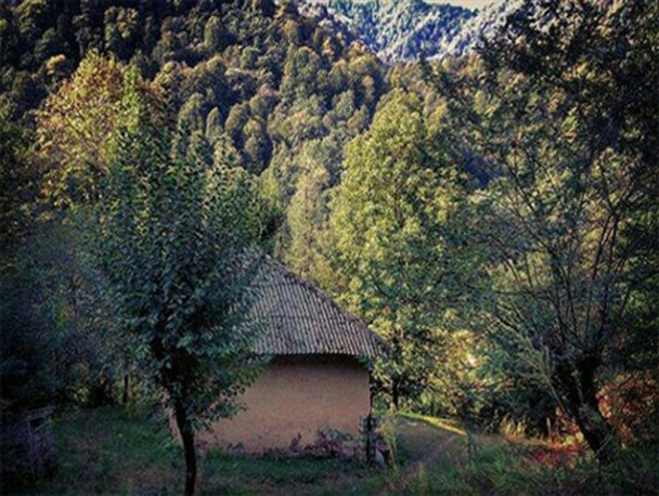 عکس هایی چشم نواز از طبیعت زیبای شهرستان رضوانشهر