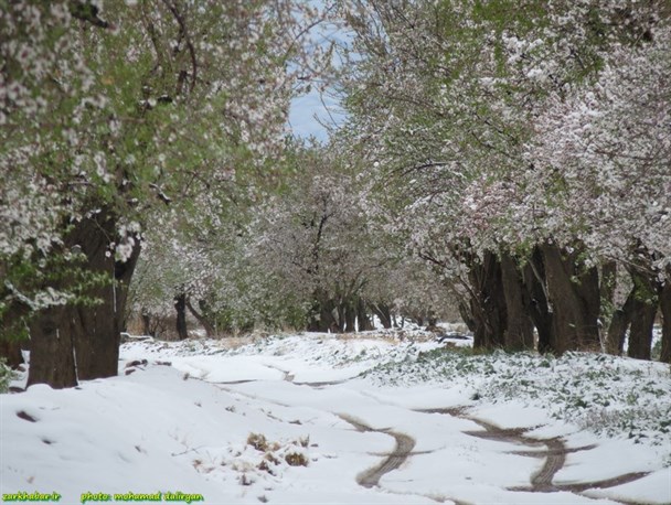 اینجا بهار با لهجه زمستان حرف می‌زند+عکس