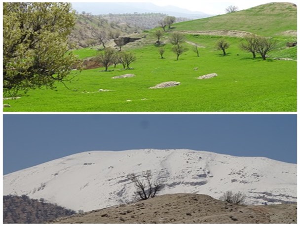 طبیعت بکر روستای محروم رودسمه در فصل بهار/خودنمایی بهار در زمستان رود سمه دیشموک+تصاویر