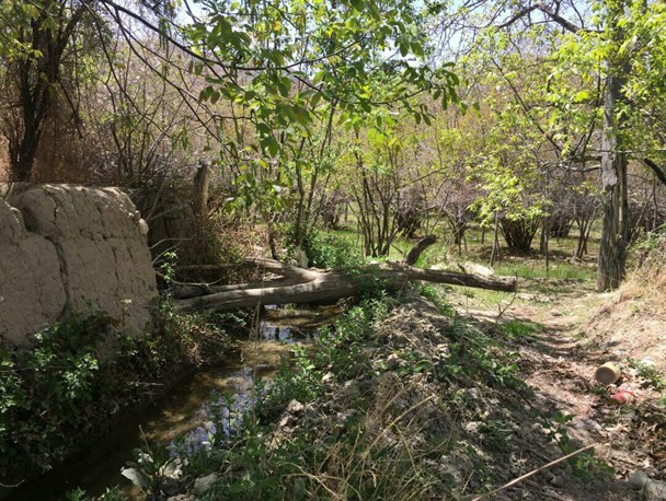 روستای «خبر» بهشت گردشگران جنوبی+تصاویر