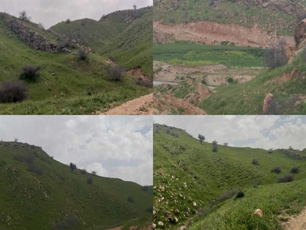 جادوی طبیعت در شهر دهدشت به روایت تصویر