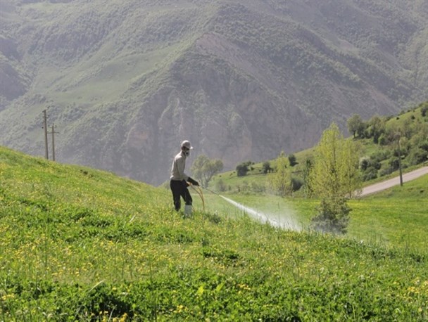 سم پاشی بیش از 200 هکتار مراتع سوادکوه+تصاویر