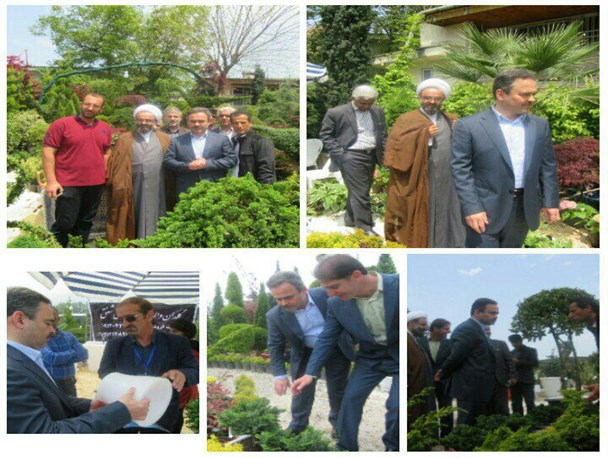 حضور گلکاران چابکسری در نمایشگاه بین المللی گل و گیاه رامسر +تصاویر