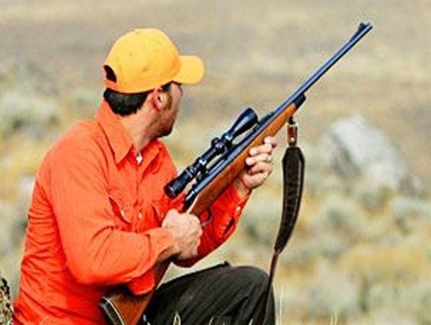 صیاد پرندگان وحشی در تربت حیدریه دستگیر شد