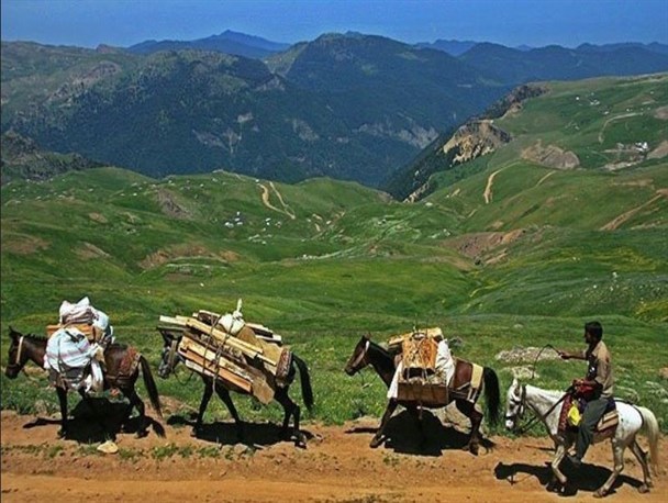 ورود عشایر به اراضی کشاورزی مربوط به منابع طبیعی نیست