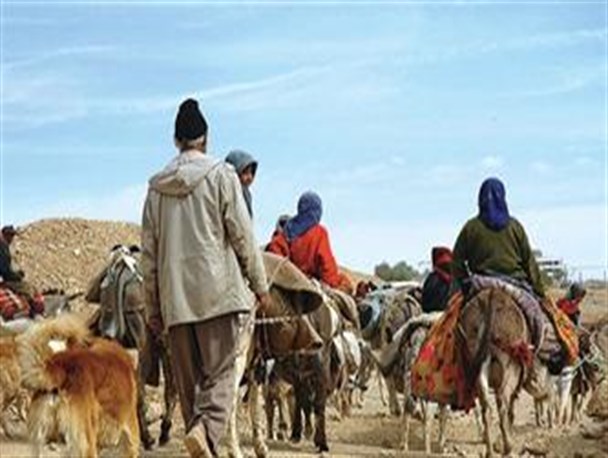 آغاز کوچ ییلاقی جمعیت 4 هزار نفری عشایر در اشنویه