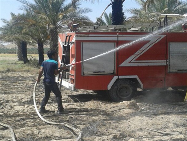 حال ناخوش طبیعت فراشبند در روز محیط زیست+تصاویر