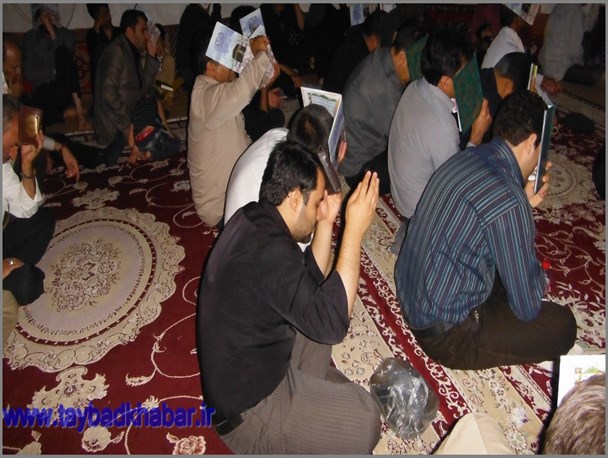 گزارش تصویری/مراسم احیای قلبها در شب نوزدهم رمضان در مساجد تایباد