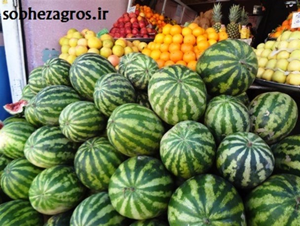 سیب فرانسوی گلابی چینی لیمو برزیلی انگور مصری و شبرنگ ترکیه‌ای در سبد میوه‌های قاچاق/چرا صادرات هندوانه قطع شد؟