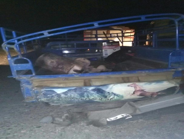 شش کشته و زخمی بر اثر تصادف در فسا