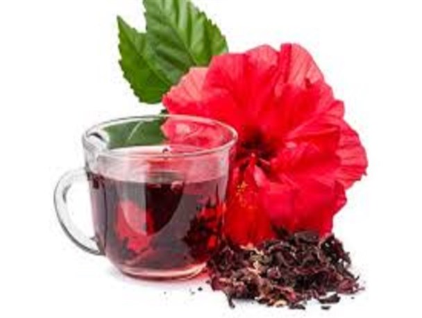 چای ترش سرشار از آهن است و به هضم غذا کمک می کند