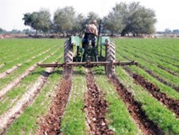 صدور ۶۲ مورد مجوز تغییر کاربری برای اجرای طرحهای کشاورزی در آذربایجان غربی
