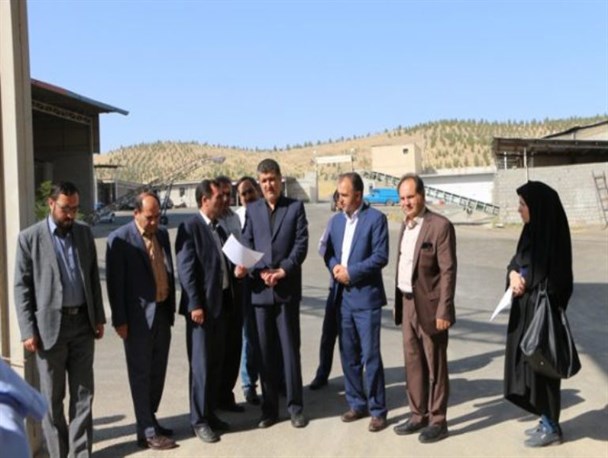 خرید ۳۹ هزار تن گندم در میاندوآب/ ۵۰ درصد پول گندمکاران یک هفته پس از تحویل محصول پرداخت می شود