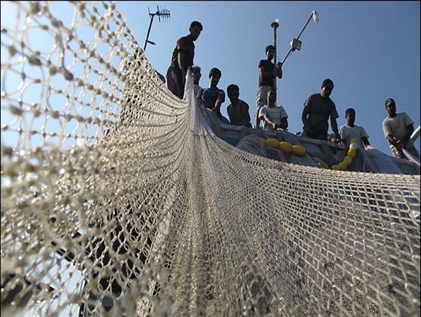 بیش از ۶۰ درصد تن ماهی کشور در چابهار و کنارک تامین می شود