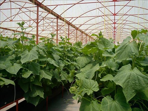 برگزاری دوره مهارت آموزی ویژه زندانیان در سرخس