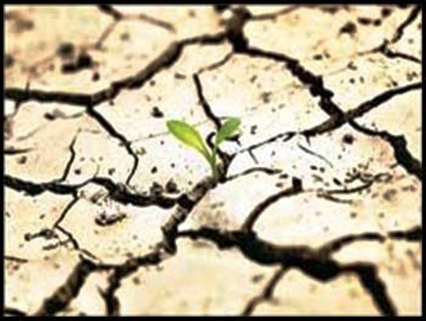 خطر کم آبی و خشک سالی جدی است/ باید در بخش کشاورزی صرفه جویی جدی شود