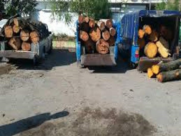 آمل؛ بزرگ‌ترین مسیر ترانزیت قاچاق چوب شمال