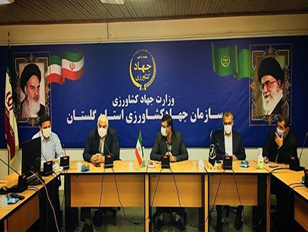 ساماندهی قیمت جوجه یک‌روزه در گلستان با ورود قرارگاه ۱۷ ربیع/ وضعیت تنظیم بازار مرغ باید اصلاح شود