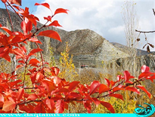 تصاویری از طبیعت پائیزی روستای هدف گردشگری دلفارد جیرفت