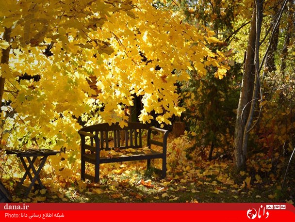 گزارش تصویری/ رویایی ترین تصاویر پاییزی