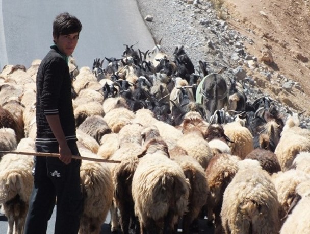 قشلاق عشایر دنا نشین / گزارش تصویری