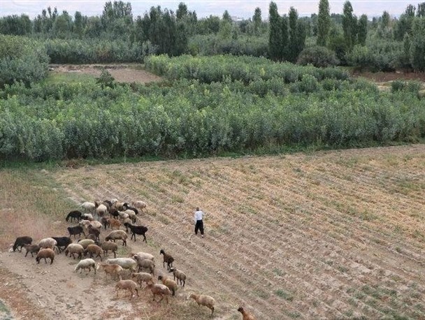 تصاویر بی نظیر از طبیعت روستای قاسم آباد همدان
