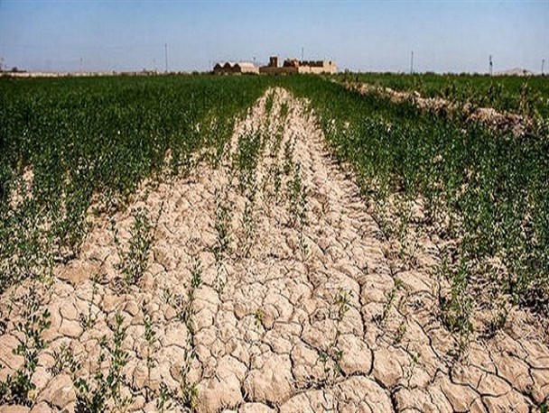 ۱۳ هزار کشاورز لرستانی غرامت دریافت کردند