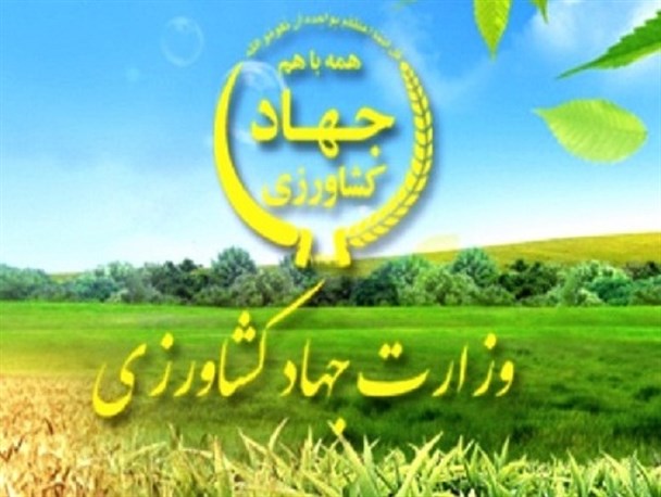 استفاده از سیستم‌های آبیاری نوین در استان زنجان روبه توسعه است/ برداشت 21 هزار 47 تن محصول سیب زمینی و پیاز از مزارع استان زنجان