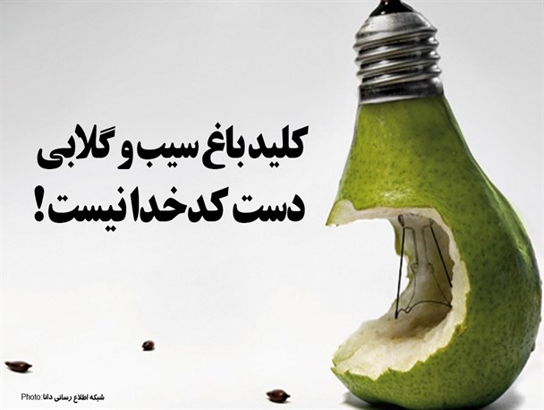فتونیوز/کلید باغ سیب و گلابی دست کدخدا نیست!