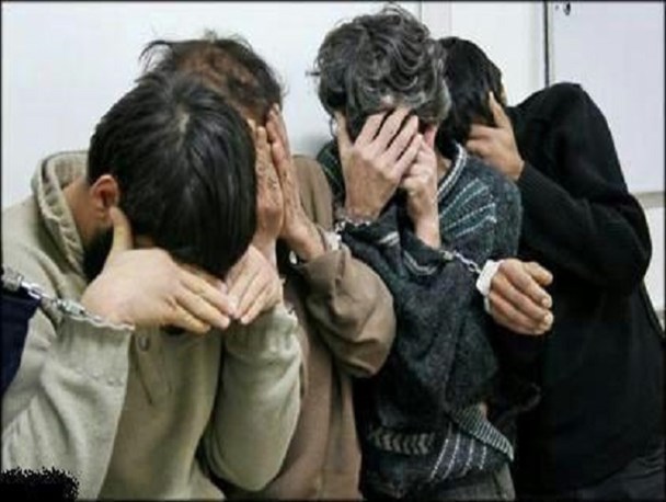 دستگیری 4 سارق حرفه ای احشام در جاجرم